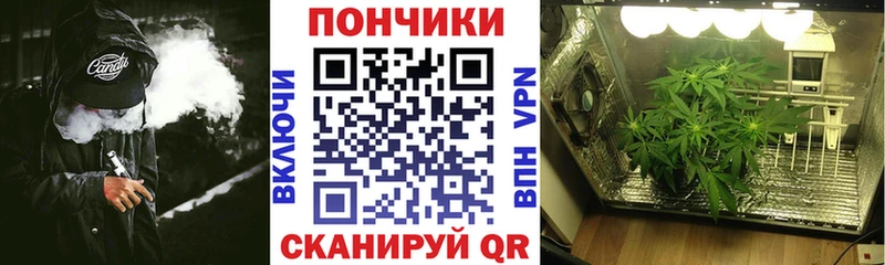 Бошки Шишки конопля  купить наркотик  Пустошка 